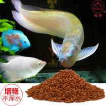 Silver Dragon lucky map Blue shark Tiger shark Parrot Koi food Fresh water particles Ornamental fish Large tropical fish feed