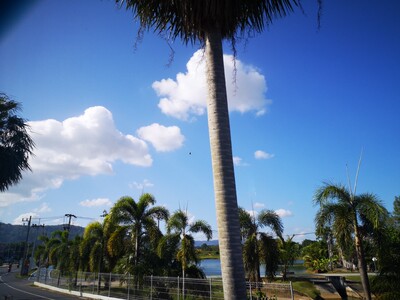 超级美 赶快买起来 超级美 赶快买起来