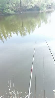 大家谈谈钓鱼用阿布路亚竿套装BMAX3鱼竿怎么样，质量如何？真的很差