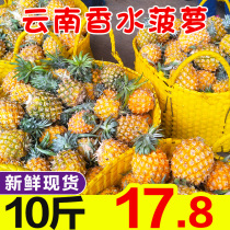 Yunnan perfume Pineapple Fresh season fruit hand tear small pineapple seasonal pineapple whole box 10kg Thailand