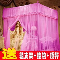 Bed nets 1 8 m Double beds Home Bedroom thickened encryption 1 5 m 1 2m Princess upscale Article Textured Tent New