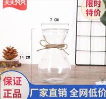 Green dill hydroponic bottle glass personality creative vase fashion modern minimalist glass bottle craft flower decoration home