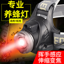 Red Strong Light Charging Bee Induction Head-mounted Ultra Bright Surveillance Flashlight for LED Red Headlight Beekeeping