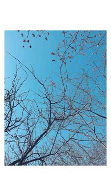 内衣好看，就是尺码有点小了，不掉色，喜欢内衣好看，就是尺码有点小了，不掉色，喜欢内衣好看，就是尺码有点小了，不掉色，喜欢内衣好看，就是尺码有点小了，不掉色，喜欢内衣好看，就是尺码有点小了，不掉色，喜欢内衣好看，就是尺码有点小了，不掉色，喜欢内衣好看，就是尺码有点小了，不掉色，喜欢内衣好看，就是尺码有点小了，不掉色，喜欢内衣好看，就是尺码有点小了，不掉色，喜欢