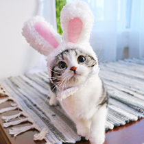 Shaking sound Net red cat rabbit headgear turned into Easter cat cute hat selling cute photo pet headgear