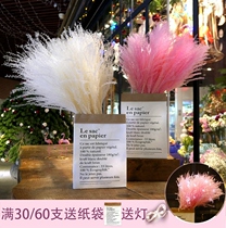 Pink Reed dried flower reed decoration ins Kraft paper bag dry bouquet Net red bouquet natural ins dried flower decoration