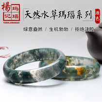 Fuxin local natural primary color aquatic agate bracelet Female large tencel jade bracelet Green agate bracelet