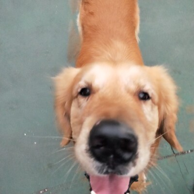 真的超级划算,而且穿上也很合身,没有束缚感。也不会显得胸部很臃肿。大爱! 真的超级划算,而且穿上也很合身,没有束缚感。也不会显得胸部很臃肿。大爱!