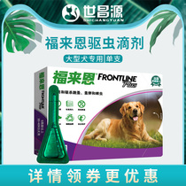 Foley drops large dogs in vitro anthelmintics Dogs Dogs to remove flea ticks insecticide Folien single