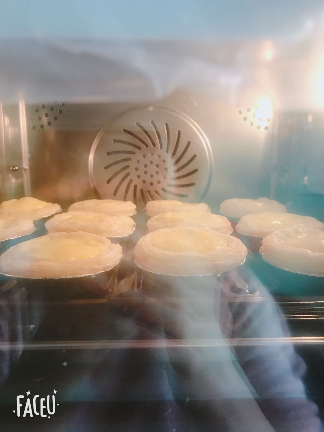 法格蒸烤箱怎么样?吐槽点评真实感受