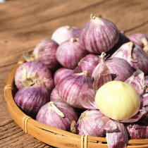 Farmhouse Self-planting Yunnan Zipi small single-head garlic fresh and sooty garlic with large garlic net weight 1 catty