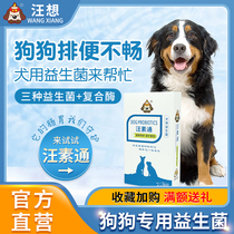 Wang Sutong Wang wants to pet dog dog adult dog constipation vomiting period special enzyme probiotic complex enzyme non-medicine