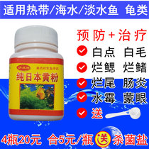 Pure Japanese yellow meal fish medicine ornamental Peacock fighting fish aquarium fish rotting disease special fish tank sterilization drug Universal