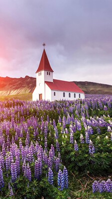 质量非常好，与卖家描述的完全一致，非常满意,真的很喜欢，完全超出期望值，发货速度非常快，包装非常仔细、严实，物流公司服务态度很好，运送速度很快，很满意的一次购物质量很好，希望更多的朋友信赖．店主态度特好，我会再次光顾的．可不可以再便宜点．我带朋友来你家买。不好意思评价晚了，非常好的店家，东西很欢！买来这个是送人的她很喜欢卖家的贴心让我感到很温暖。很热情的卖家，下次还来希望下次还有机会合作祝你生意兴隆质量非常好真出乎我的意料包装非常仔细非常感谢。祝生意兴隆！！