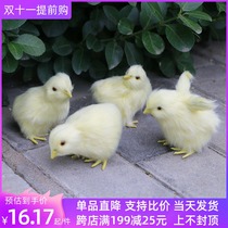 Simulation animal chicken little chicks creative toys cute dolls can be called Little chicks decoration gifts
