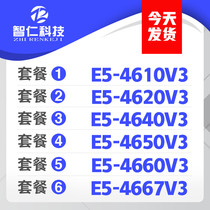 Intel to Strong E5-4610 V3 4620 V3 E5-4640V3 E5-4650 4660 4667V3CPU