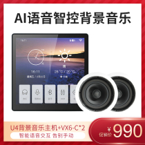 Hivi iwei VX6-C intelligent background music controller voice song Stereo top speaker set