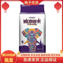20 kilos Shengbao Taijin Xiangzhen rice 10kg Quality rice Long grain fragrant rice Thai fragrant rice 2 sacks of rice