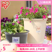 Alice Iris Japan ZEN Japanese flower resin plastic green floral floral multi - meat desktop Alice flower pot