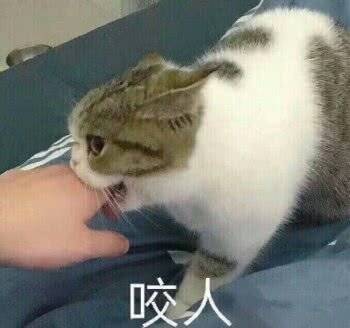 穿上去没有紧致感，客服说是我太瘦了。好吧，这理由我接受了。 视觉效果不错，看起来就很h