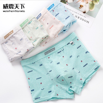Youth underwear boxers cotton students high school students junior high school students young boys boxer shorts