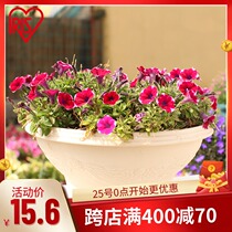 Japan IRIS embossed hemispherical flower pot resin imitation ceramic plastic flower pot 360 450