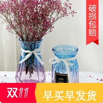 Container vase Glass transparent water nourishing green dill vase Flower arrangement bottle Lily household flower pot starry creative products