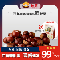2021 Hebei Shenli Kuancheng specialty Yanshan fresh organic chestnut 5kg pack Hundred Years of chestnut tree fruit spot