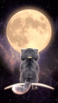 因为本仙女很懒，不想每一件商品都一样一样地去写好评，所以特意写了这样一个评论。但是这件商品无论是质量、材质还是款式，肯定都是本仙女所中意的，如果本仙女不喜欢的话，本仙女收到货肯定是会很生气的，很气很气的那种哦。不然这个评论肯定会变成那种喋喋不休，怨气横生，怨天怨地的那种。最后当然不可能忘了给这件商品一个好评，给各位爱淘宝的宝宝们一个购物参考，这个产品还是非常值得购买的！ 祝看到这条评论的各位小仙女们永远年轻漂亮美丽大方，永远都是16岁