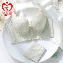 Adjusted underwear female bra polymer bra and pacifier bra with patchproof pituitary bra brand