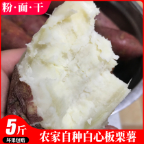 5kg white heart chestnut sweet potato fresh sweet potato farmhouse Shandong Sandy sweet potato noodles sweet potato seeds big sweet potato super sweet