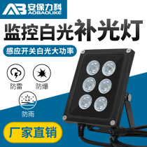 Monitor Tonic Light White Light 12V Night Vision Light Sensation Automatic Car Park Road Brake License Plate Camera Assisted LED Lights