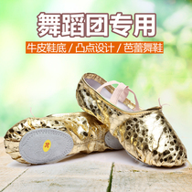 Lan Xuan bump ballet shoes children's practice shoes girls dance shoes two-soled cat's claw soft flat toe shoes