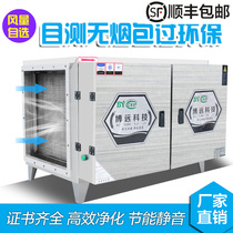 Low Altitude Discharge Oil Smoke Purifier 6000 Air Volume Hotel Kitchen Commercial Catering Barbecue Smoke-free Over Environmentally Friendly Double Doors