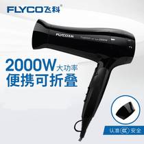 Feike high-power hair dryer Hot and cold air household hair dryer Hair salon hair dryer Hair dryer