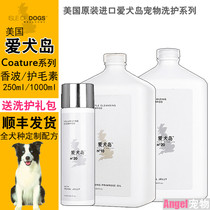 Dog Island Dog Island Dog Island Dog Island Dog Island Dog Island Dog Island Dog Island Dog Island Dog Island Dog Island Dog Island Dog Island Dog Island Dog Island Dog Island Dog Island Dog Island Dog Island Dog Island Dog Island Dog Island Dog Island Dog Island Dog Island Dog Island Dog Island Dog Island Dog Island Dog Island Dog Island