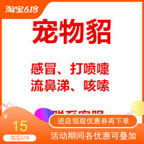 Full 38 Pets ferrets Ferret Cold Cough Cough and Fever Fever Fever Pneumonia Cough List