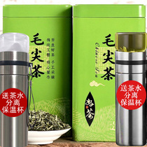 2021 New Tea Leaves Green Tea Green Tea Spring Tea Xinming Sprout Thick and Fragrant Type Loose Bagged 500 gr