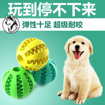 Pet toy ball natural rubber non-toxic mint flavor cat dog universal teddy Pomeranian pomeranian elastic leakage ball