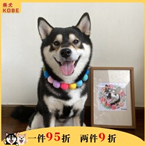 Diesenykobe Pet Netred Kokki Rainbow Flower Collar Collar Collapse Catdog Dog Hairball Neck Circle Adjustable