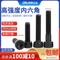 M4M5M6M8M10M3-12 Grade 9 Alloy Steel Cylinder Head Allen Head Screws Cup Head Screw Allen Head Bolts