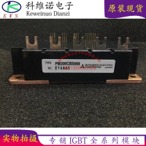 PM300CBS060 PM300CS1H060 PM450CS1H060 PM200CBS60