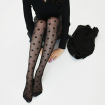 Socks female Korean big wave dot size polka dot ultra-thin jacquard stockings pantyhose stockings Black