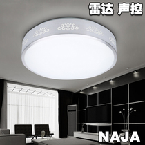 LED Microwave radar Ceiling lamp Human body induction sound and light control Infrared stairs Garage Corridor School Aisle Balcony