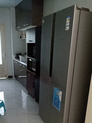 反馈统帅 BCD-455WLDPC真实点评