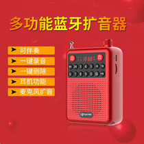 2021 new Bluetooth microphone wireless Bluetooth home singing children mike sound integrated teacher megaphone