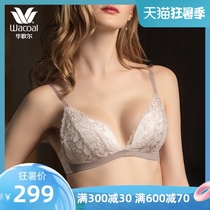 Wacoal gold label sexy thin lace no rim triangle cup bra WB3178