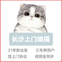 Changsha door to door feeding cat Spring Festival holidays on business trips for Lunar New Year Holiday pets Pets Kitty Feeding Shoveling Service