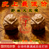 The Wild Old Iron Wing Wen play to play with walnuts and three Lotus Edge shaped lion head recommended novice round carving