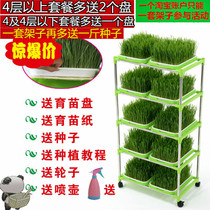 Soilless cultivation hydroponic equipment vegetable sprouts nursery plate planting bean sprouts tray plastic rectangular basin